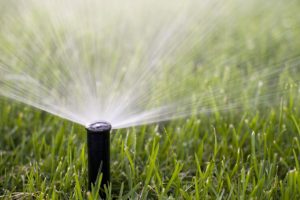 Island Strong INC : Sprinkler services contractor Suffolk country